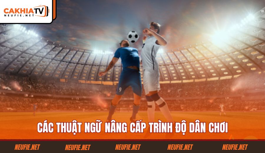 cac-thuat-ngu-nang-cap-trinh-do-dan-choi