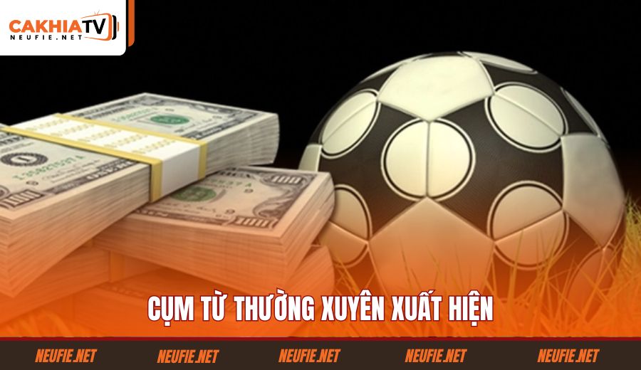 cum-tu-thuong-xuyen-xuat-hien
