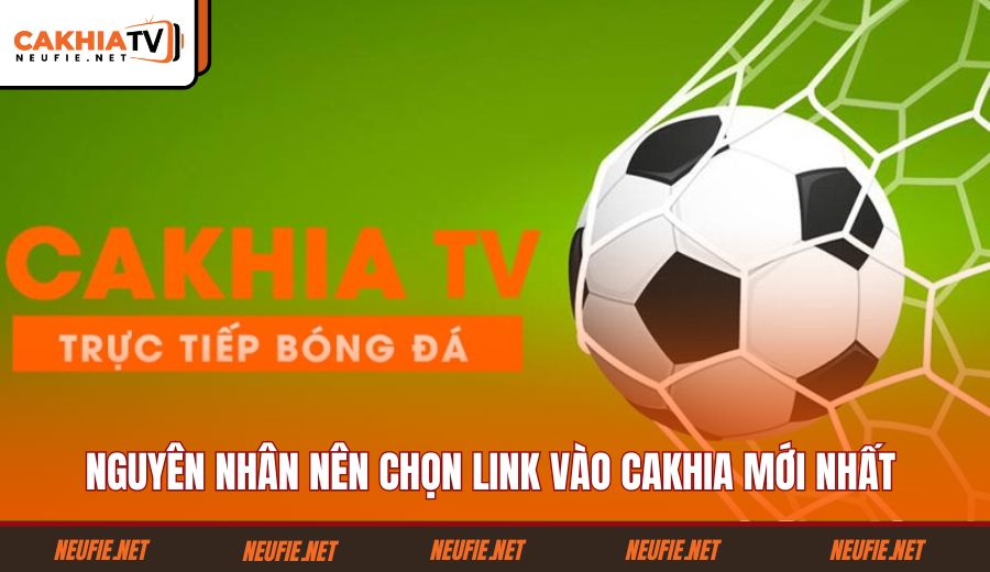 nguyen-nhan-nen-chon-link-vao-cakhia-moi-nhat