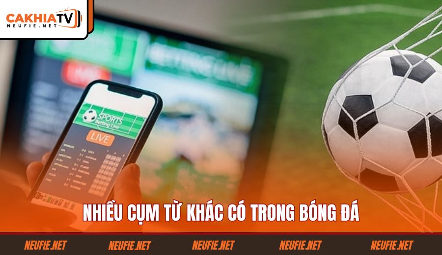 nhieu-cum-tu-khac-co-trong-bong-da