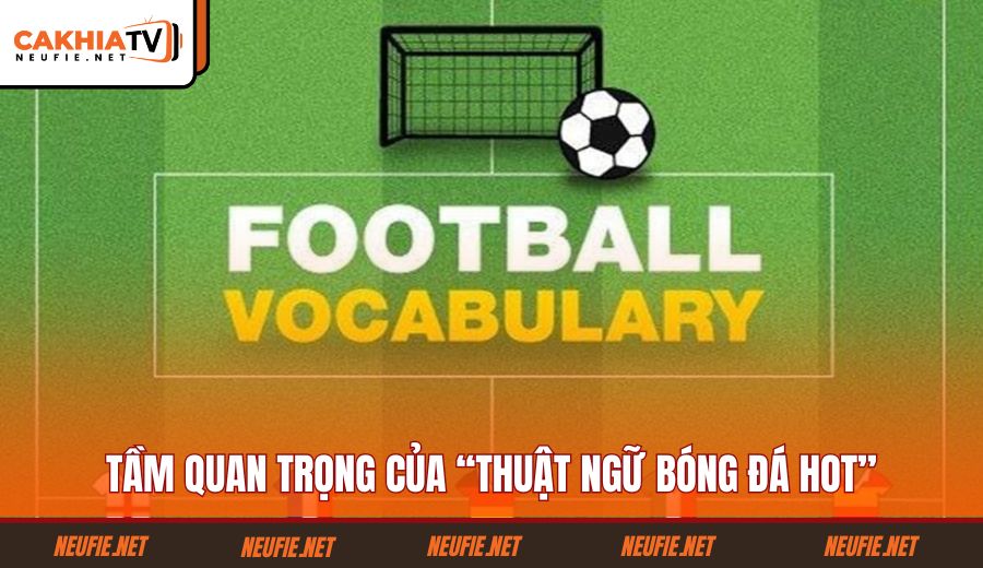 tam-quan-trong-cua-“thuat-ngu-bong-da-hot”
