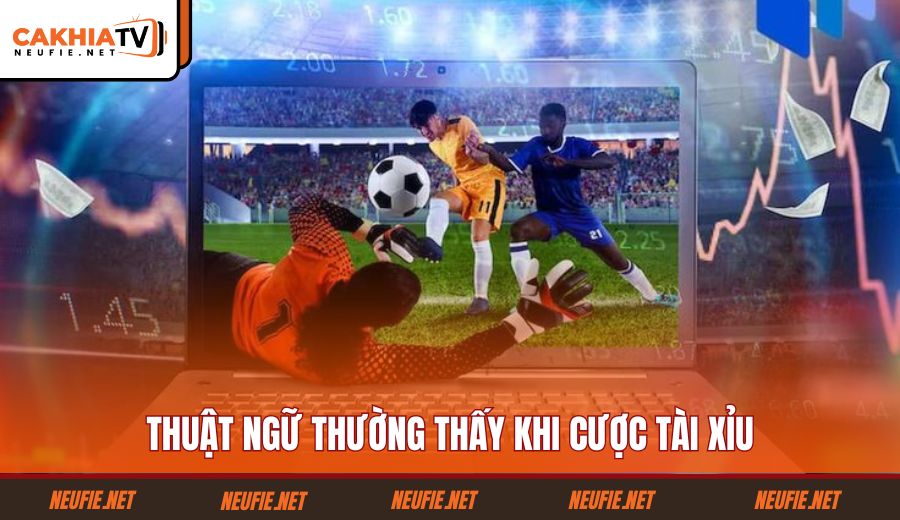 thuat-ngu-thuong-thay-khi-cuoc-tai-xiu