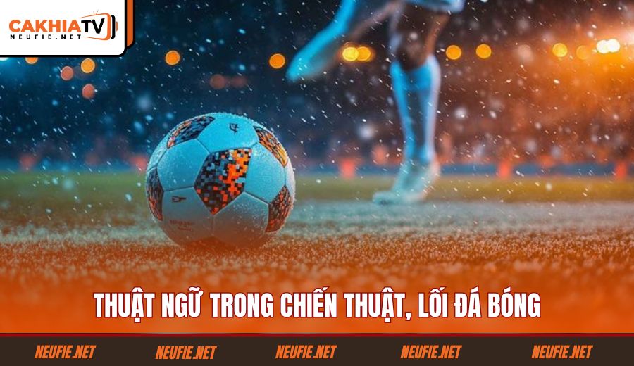 thuat-ngu-trong-chien-thuat-loi-da-bong