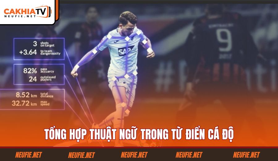 tong-hop-thuat-ngu-trong-tu-dien-ca-do