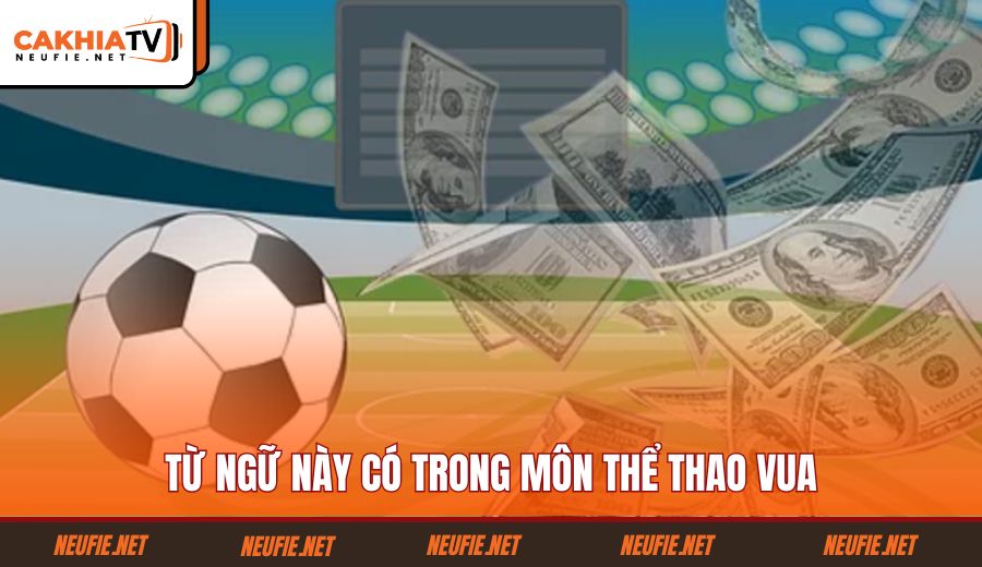 tu-ngu-nay-co-trong-mon-the-thao-vua