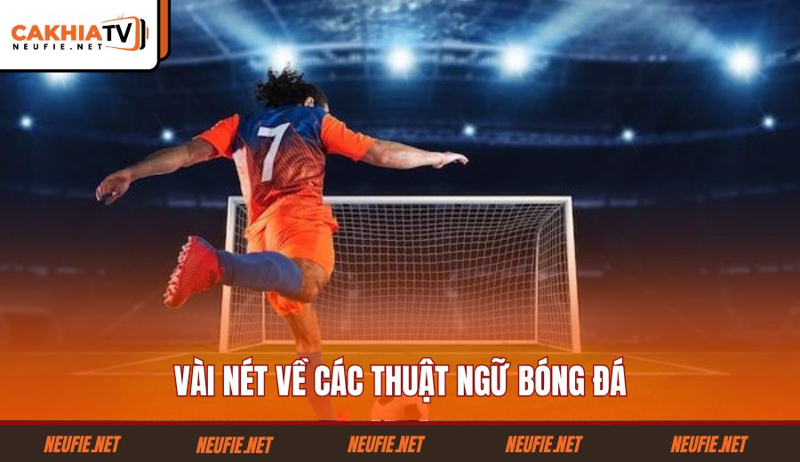 vai-net-ve-cac-thuat-ngu-bong-da