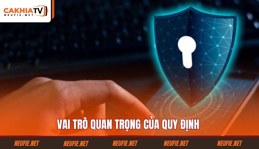 vai-tro-quan-trong-cua-quy-dinh